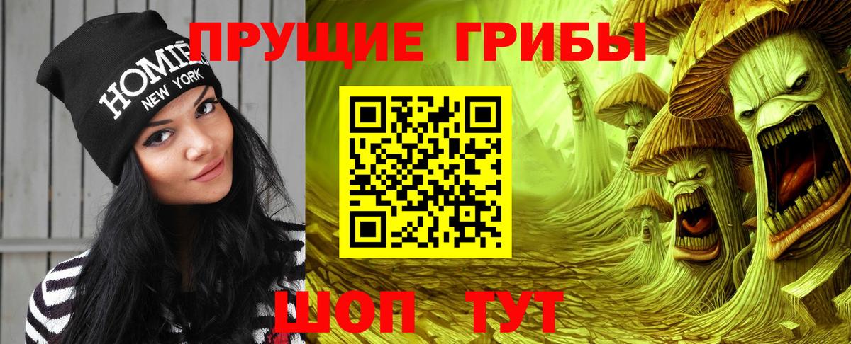 Галлюциногенные грибы Psilocybine cubensis Волжский