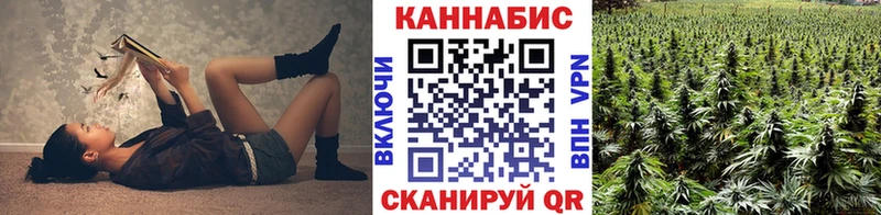 Каннабис сатива Волжский